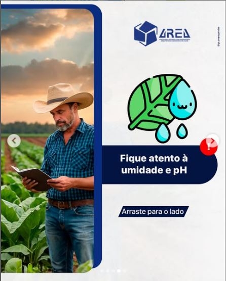 DICA BÔNUS!!!